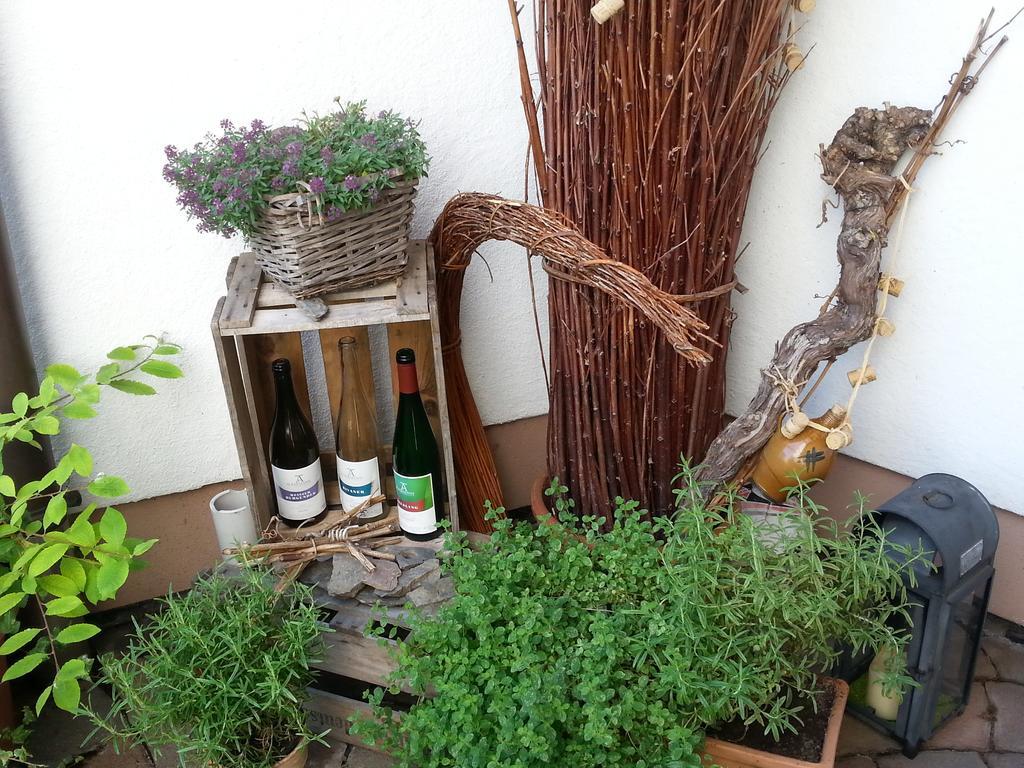 Ferienwohnung Weingut Ackermann Zeltingen-Rachtig Zewnętrze zdjęcie